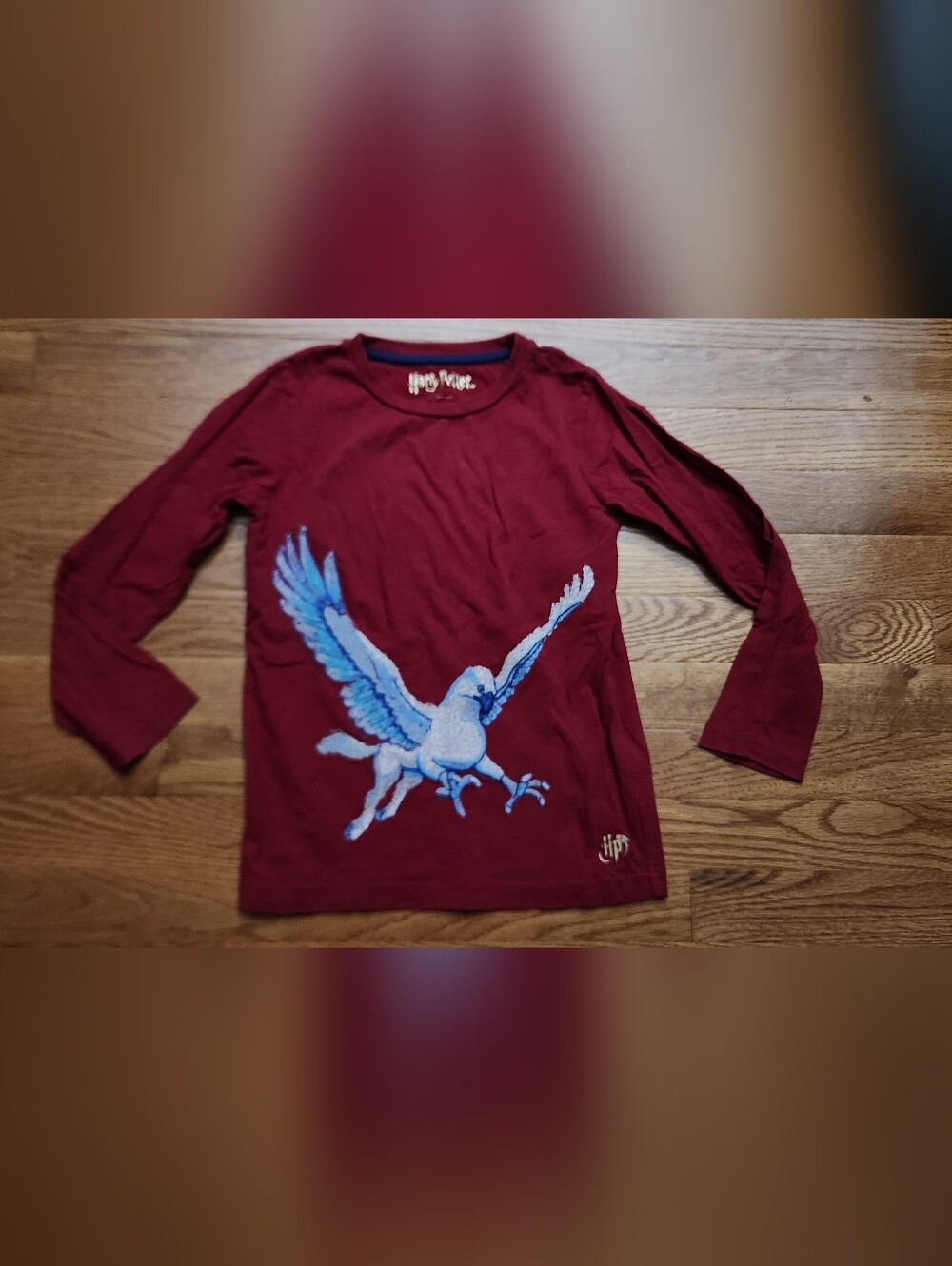 Mini Boden Harry Potter Buckbeak Superstitch T-Shirt